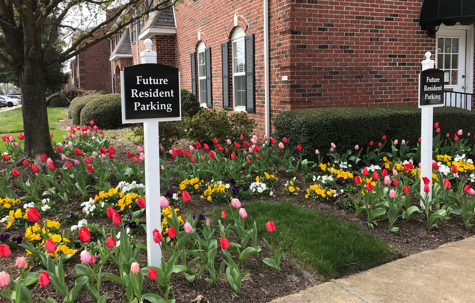 Haygood Halls Apartments in Virginia Beach, VA