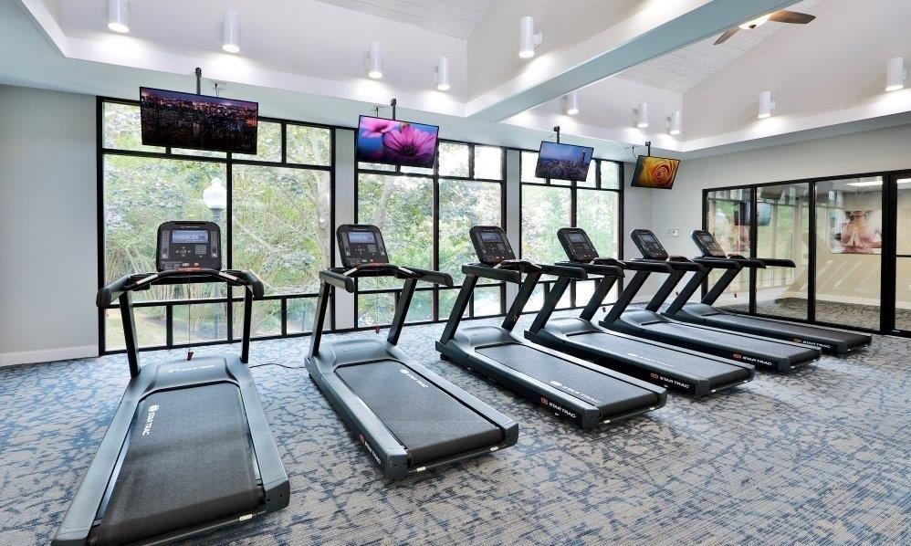 a gym with rows of cardio equipment and windows