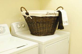 Laundry Facilities in Every Building