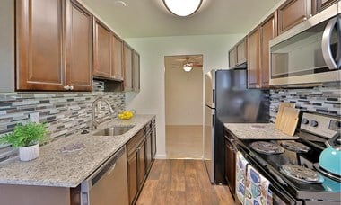 5797 A Rayburn Ave 1 Bed Apartment for Rent Photo Gallery 1