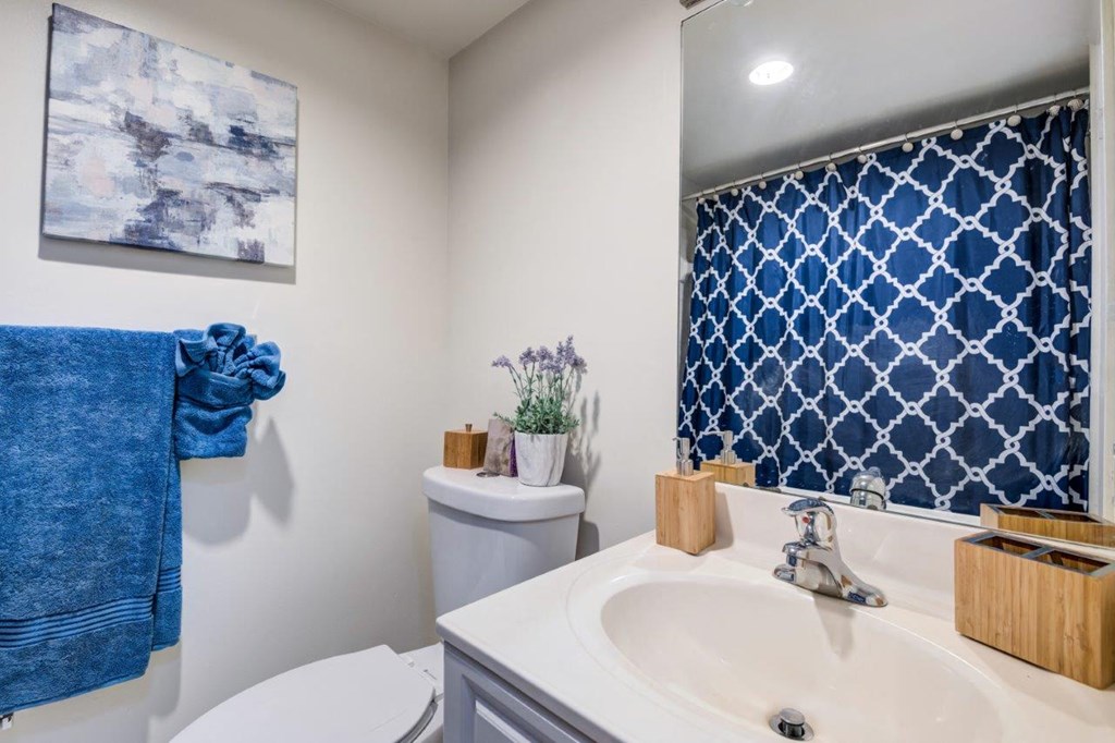 a bathroom with a sink and a toilet and a mirror