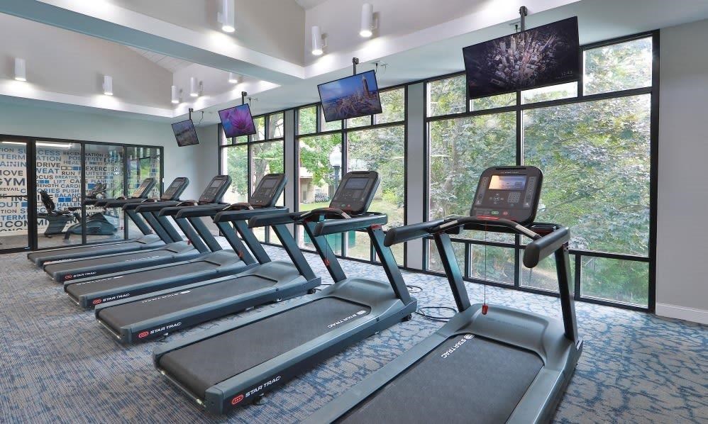 a gym with rows of cardio equipment and windows