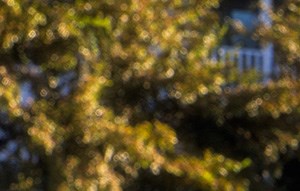 Grove At Oakbrook I Amp Ii Apartments In Summerville Sc