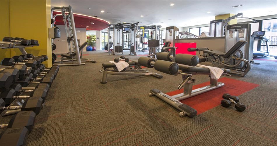 a gym with a lot of weights and exercise equipment