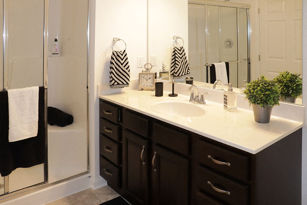 a bathroom with a sink and a shower