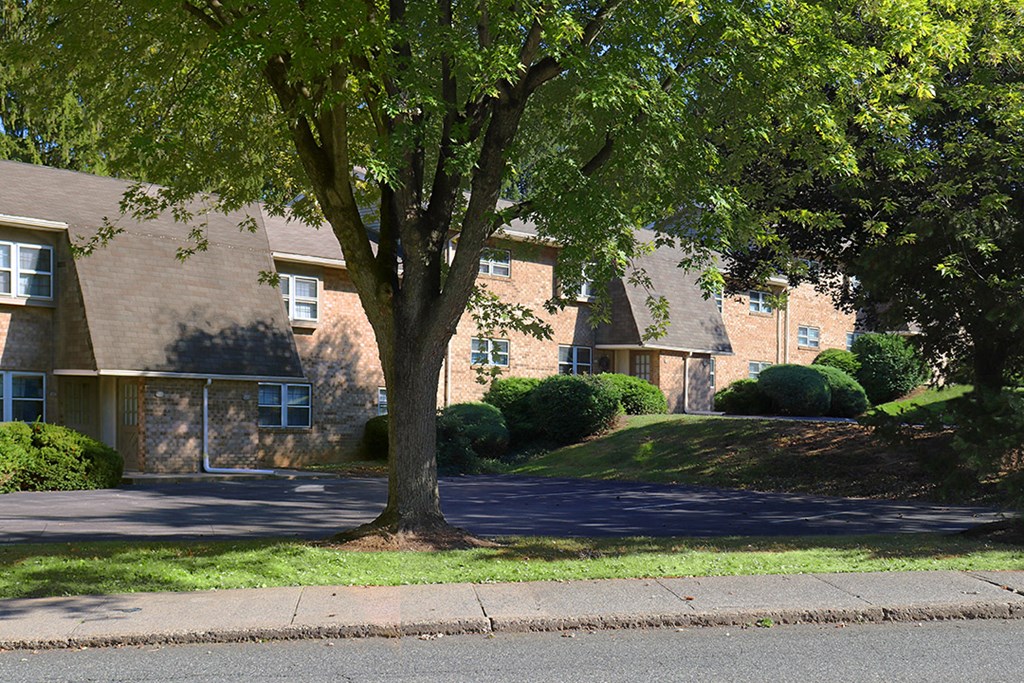 a tree in front of some houses on a street