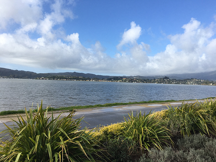 Nearby Belevedere Lagoon | Lyford Apartments in Tiburon, CA 94920