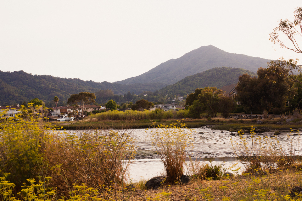 A landscape with a mountain in the background and a body of water in the foreground.