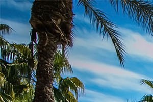 Versante Apartment Homes Award Winning Apartments In Avondale Az