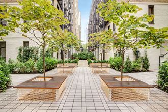 a courtyard with benches and trees in a city