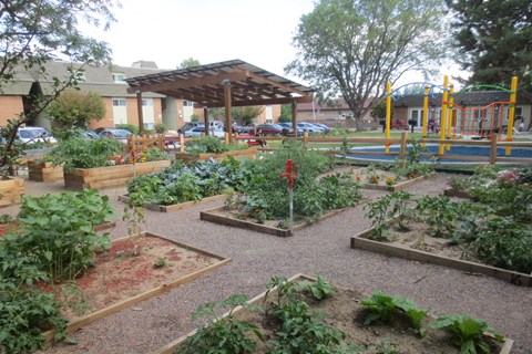 A garden with a playground in the background.