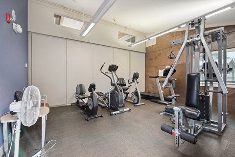 A gym with a variety of equipment including a fan, treadmill, and weights.