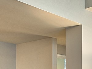 The Botetourt Apartments Norfolk VA design