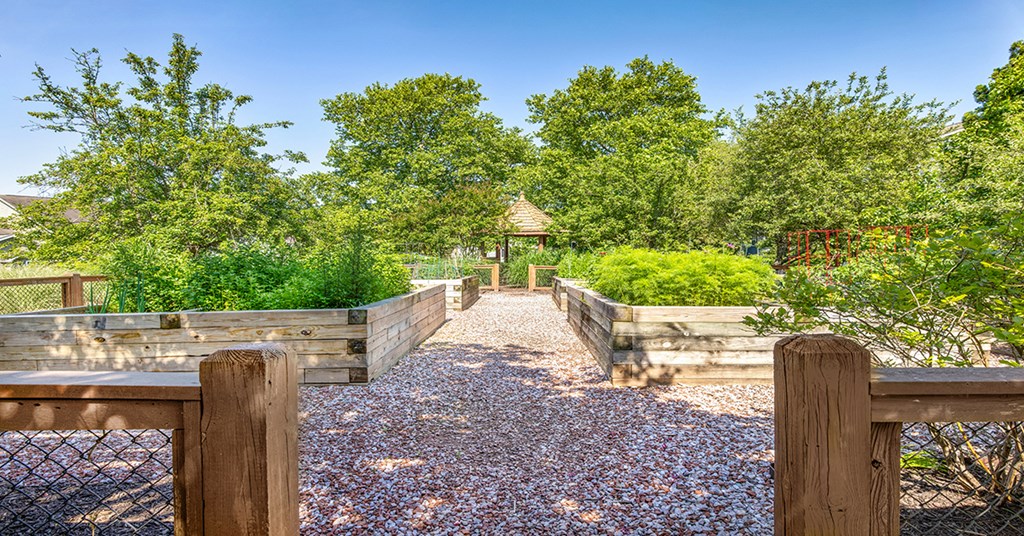 A garden with a gravel path and wooden fence.
