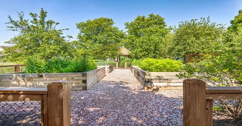 A garden with a gravel path and wooden fence.