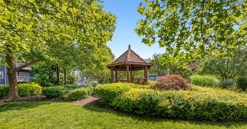 A gazebo is surrounded by green bushes and trees.