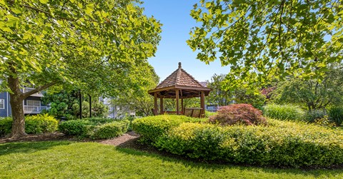 A gazebo is surrounded by green bushes and trees.