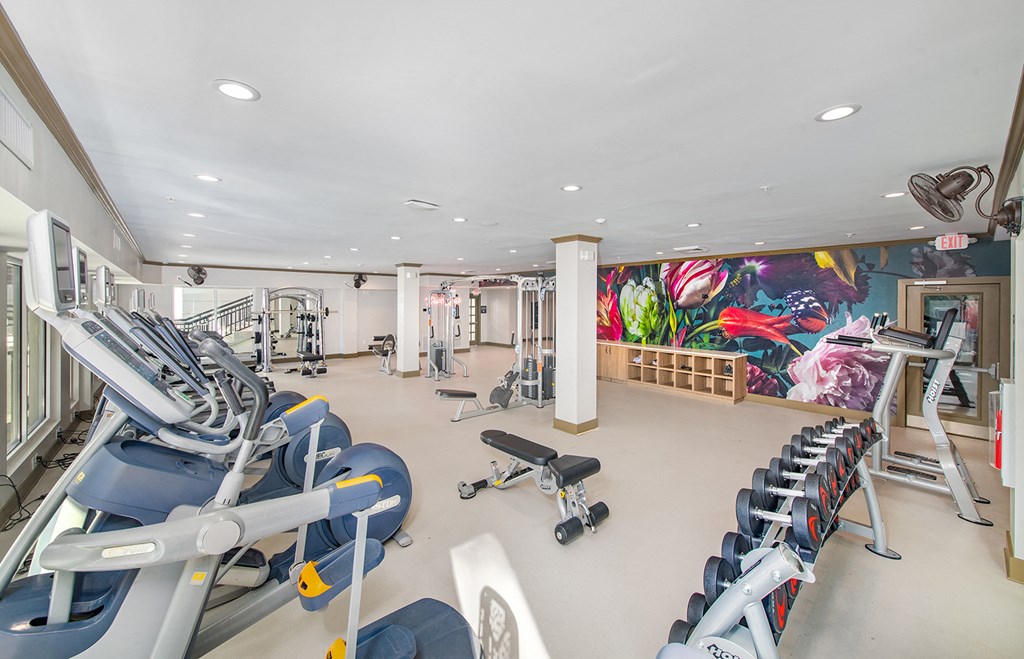 a gym with cardio equipment and a mural on the wall