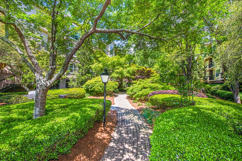 a path through a park with trees and a street light