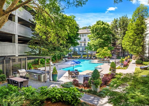 A pool surrounded by trees and plants.