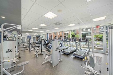a gym with a lot of cardio equipment and weights