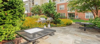 102 Fallsgrove Boulevard 1-2 Beds Apartment for Rent - Photo Gallery 4