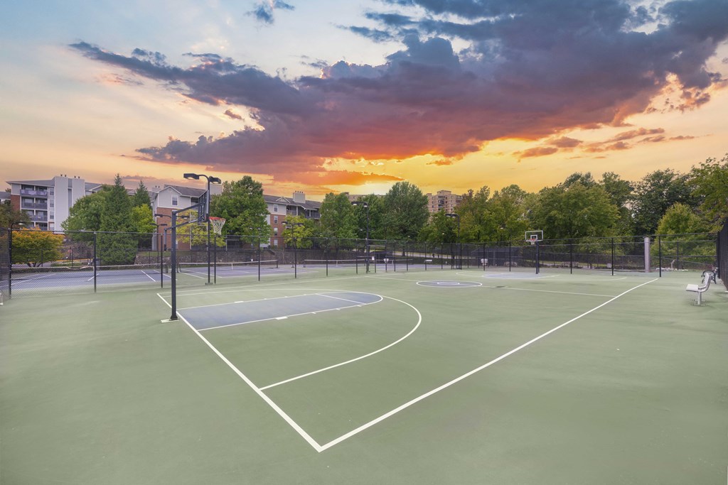 A tennis court is shown with a beautiful sunset in the background.