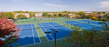 1526 Lincoln Circle 1-2 Beds Apartment for Rent - Photo Gallery 3