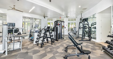 the gym is equipped with weights and cardio equipment