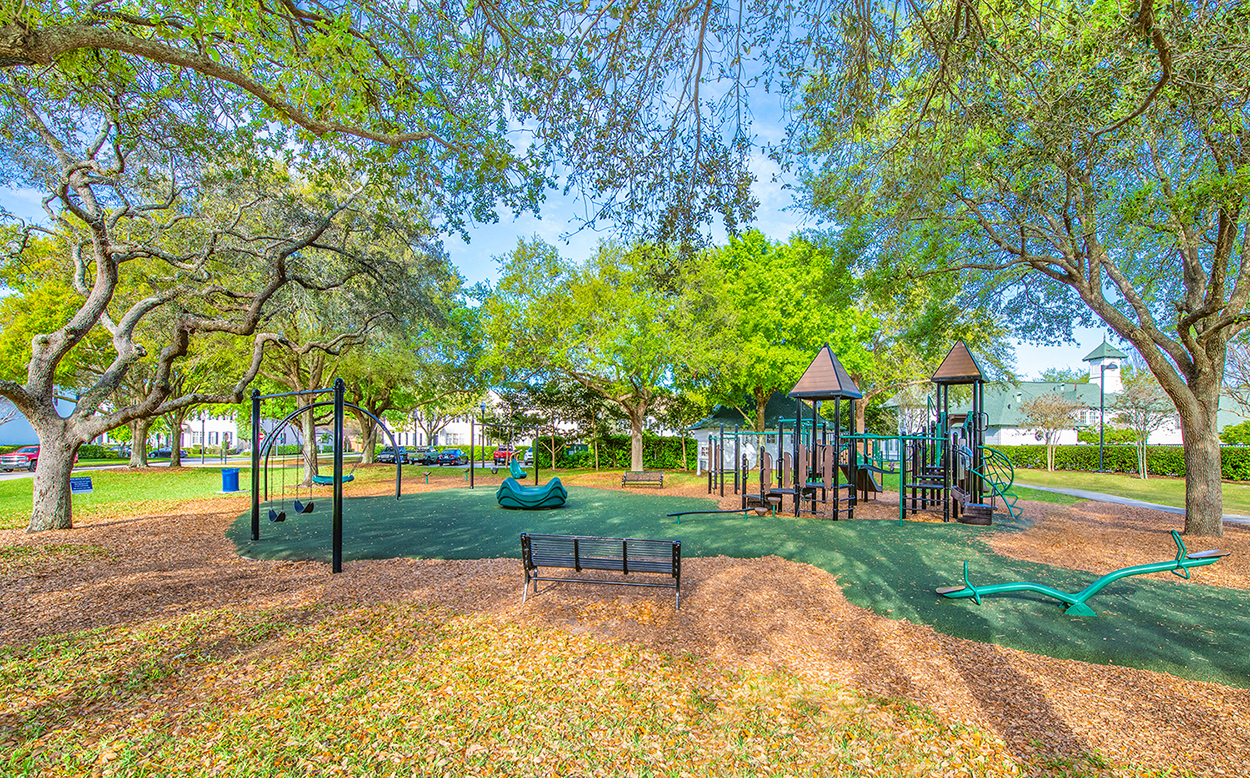 an image of a park with playground equipment and trees