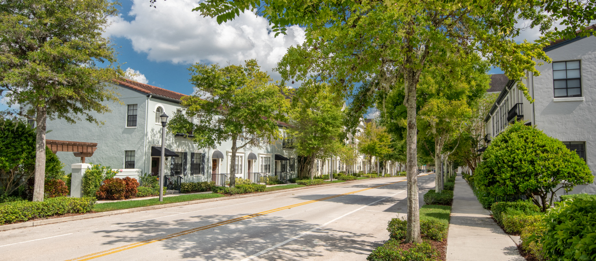 a tree lined street with houses on the side of the road