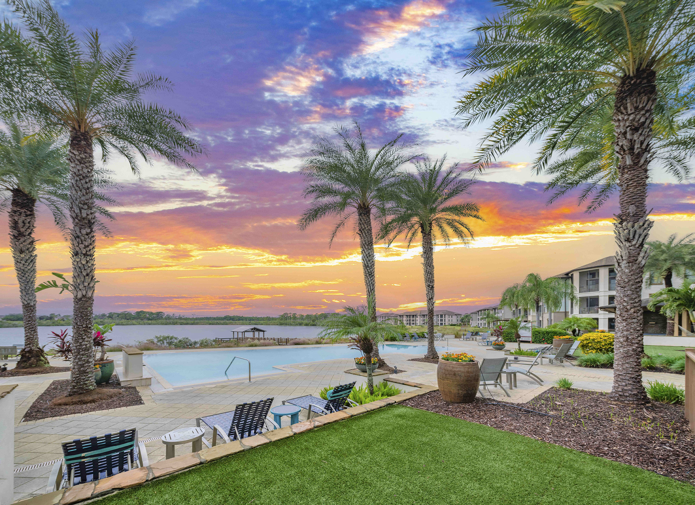 a backyard with a pool and palm trees at sunset