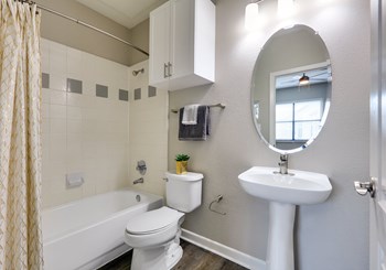 3096 N. Hall Street Suite 173 Studio-3 Beds Apartment for Rent - Photo Gallery 11