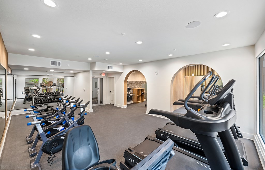 A gym with treadmills, exercise bikes and weights.