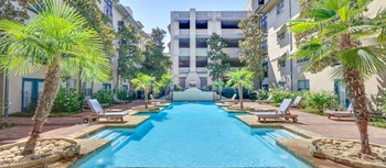 2815 Allen Street #120 Studio-2 Beds Apartment for Rent - Photo Gallery 3