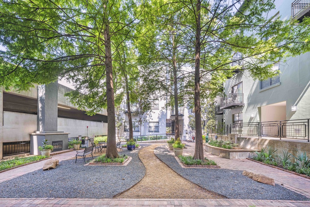 A pathway with trees on both sides leads to a building.