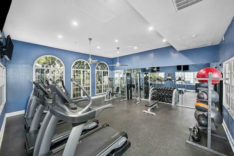 A gym with treadmills, weights, and exercise balls.