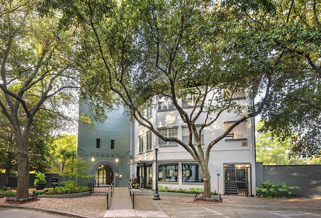 A tree-lined driveway leads to a white and green building.