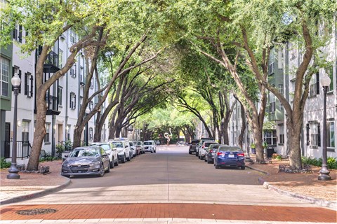 A tree-lined street with cars parked on the side.