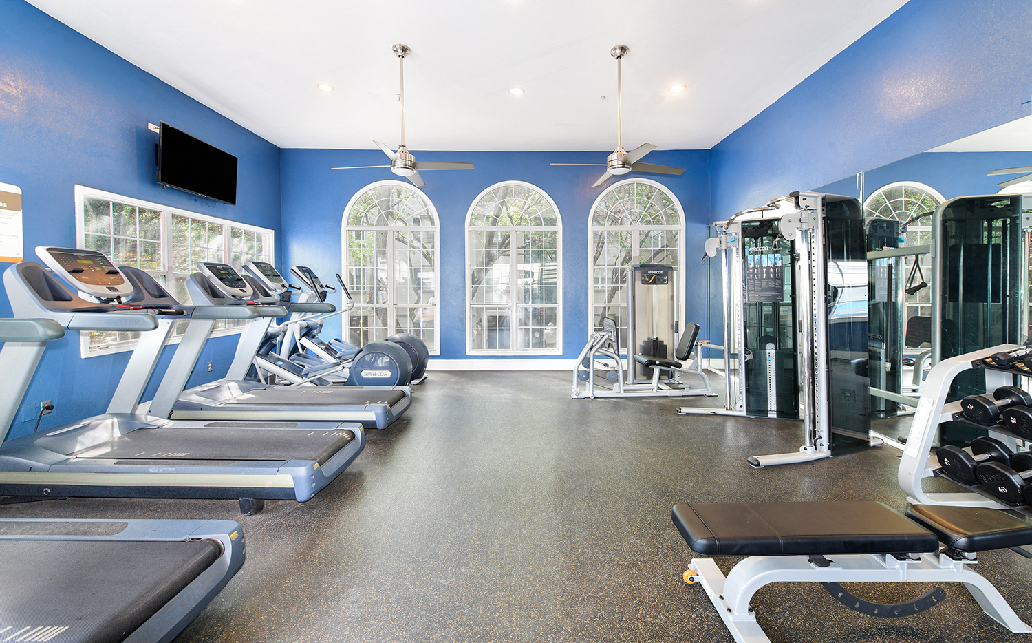 a gym with cardio equipment and windows at the enclave at woodbury