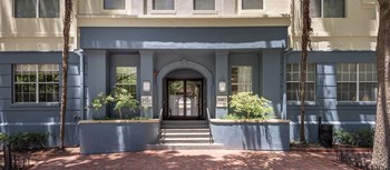2815 Allen Street, Ste 120 Studio-2 Beds Apartment for Rent - Photo Gallery 5