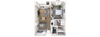 Traditional 1x1 609-641 SF