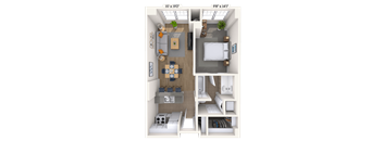 Traditional 1x1 498-564 SF