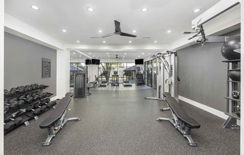 A spacious gym with a variety of equipment including dumbbells, weight machines, and benches.