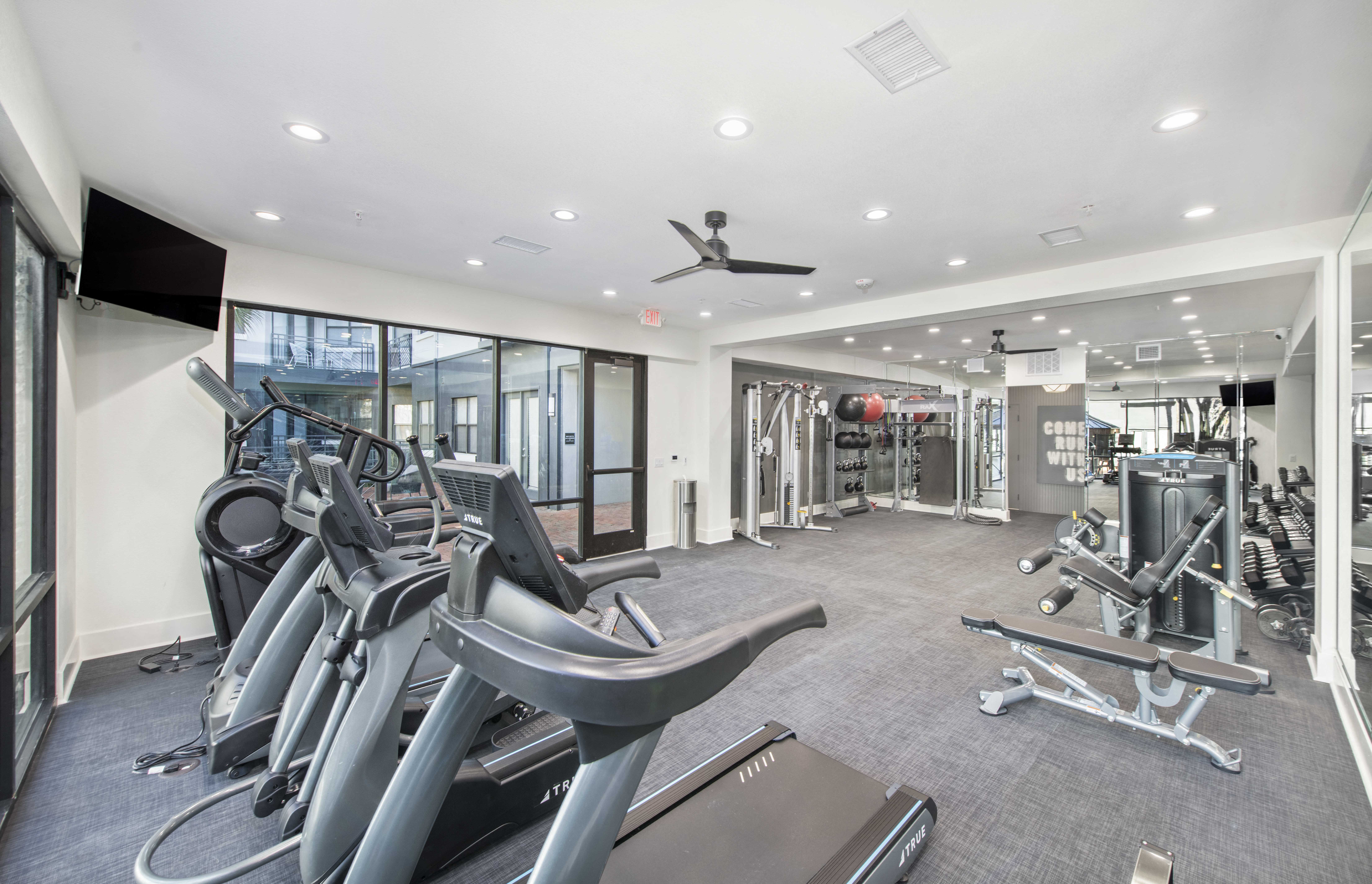 the state of the art gym is equipped with cardio equipment and weights