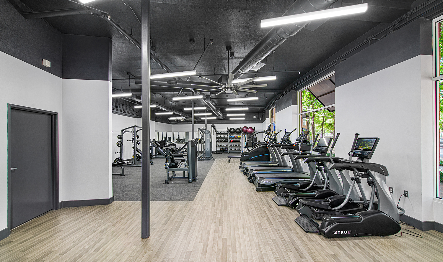 a long row of cardio machines in a gym
