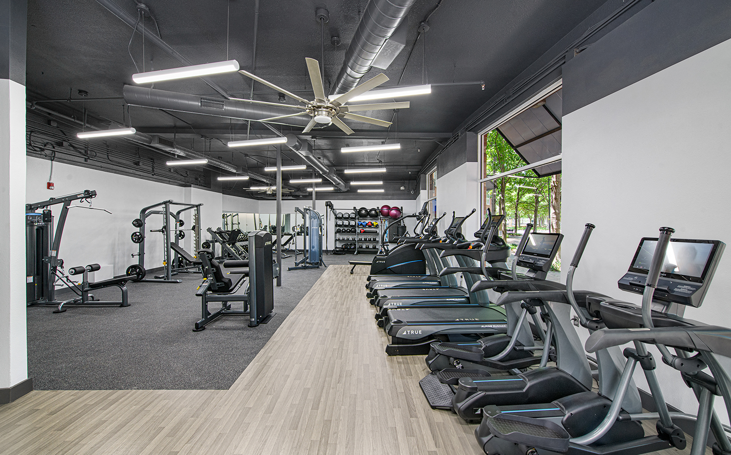 an image of a gym with cardio machines and weights