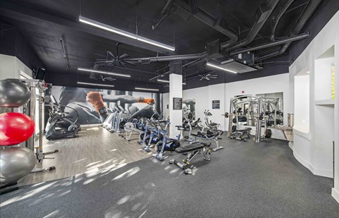 the gym is equipped with cardio machines and weights