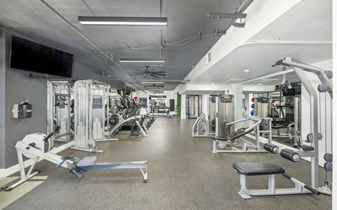 A well-equipped gym with various exercise machines and weights.