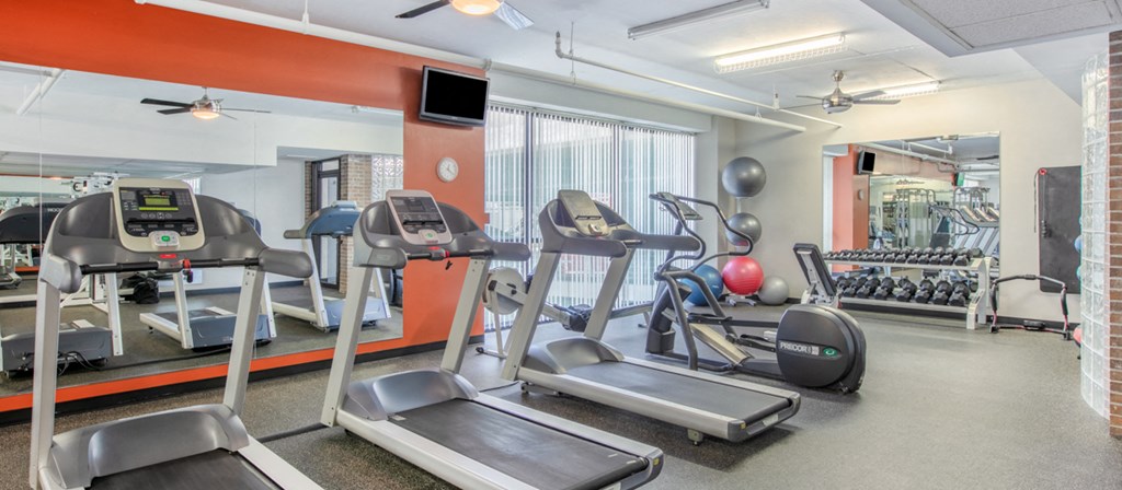 the gym is equipped with treadmills and other exercise equipment